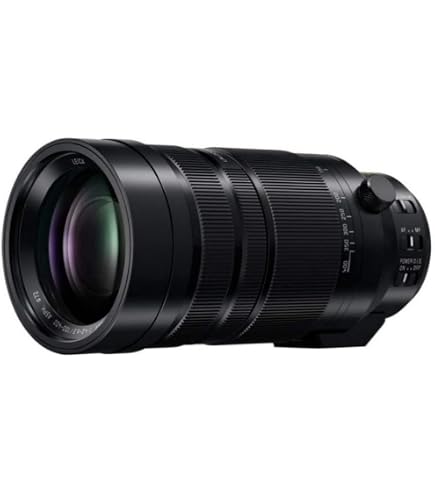 Amazon.com : PANASONIC LUMIX G LEICA DG VARIO-ELMAR PROFESSIONAL